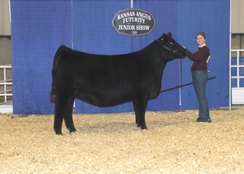 Owned Reserve Junior Champion Heifer