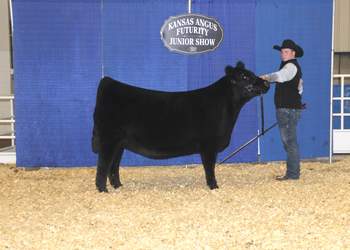 Owned Senior Heifer Calf Champion