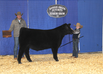 Grand Champion Steer