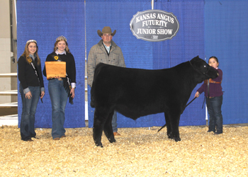 Reserve Grand Champion Bred-and-owned Bull