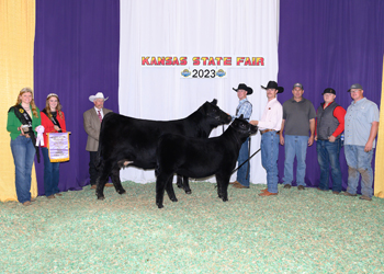 Reserve Grand Champion Cow-calf Pair