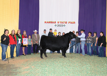 Reserve Grand Champion Bull