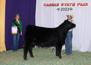 Reserve Intermediate Champion Heifer