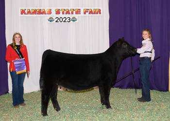 Senior Heifer Calf Champion