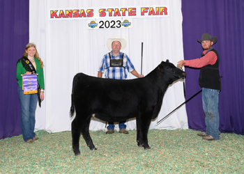 Junior Heifer Calf Champion