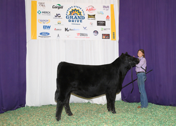 Reserve Grand Champion Bred-and-owned Female