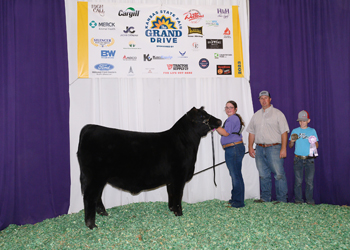 Reserve Grand Champion Steer