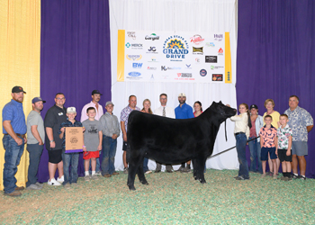 Grand Champion Owned Female