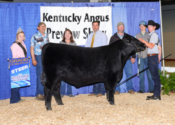 Grand Champion Steer