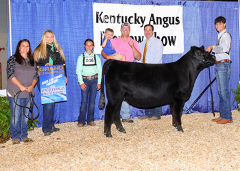 Grand Champion Bred-and-owned Female