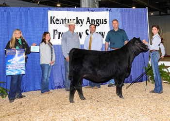 Reserve Grand Champion Bred-and-owned Female