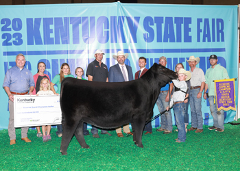 Grand Champion Owned Female