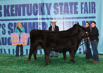 Reserve Grand Champion Cow-calf Pair