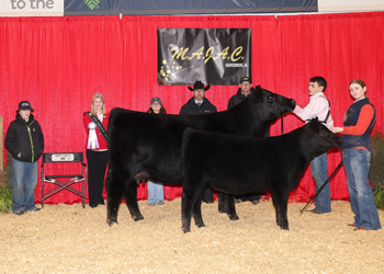 Reserve Grand Champion Cow-calf Pair Reserve Grand Champion Cow-calf Pair