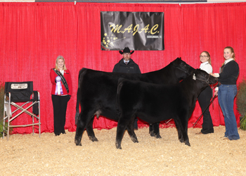 Grand Champion Cow-calf Pair