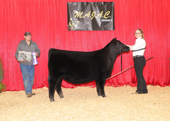 Bred-and-owned Senior Champion Female