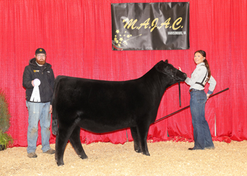 Owned Reserve Junior Champion Heifer--division 3