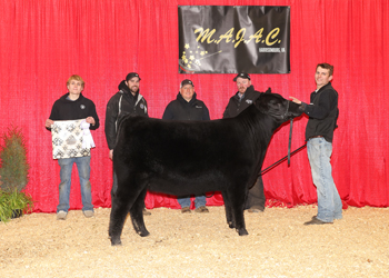 Owned Reserve Junior Champion Heifer--division 1