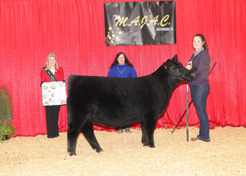 Owned Reserve Intermediate Champion Heifer