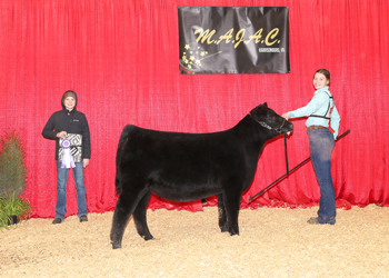 Bred-and-owned Senior Heifer Calf Champion