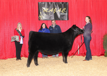 Owned Junior Champion Heifer--division 2