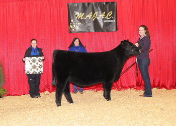 Bred-and-owned Reserve Junior Champion Heifer