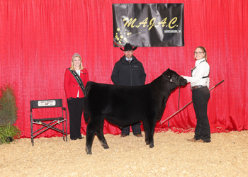 Reserve Grand Champion Bred-and-owned Bull