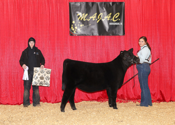 Bred-and-owned Reserve Senior Heifer Calf Champion