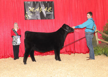 Owned Intermediate Champion Heifer