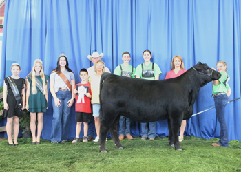 Bred-and-owned Reserve Junior Champion Heifer