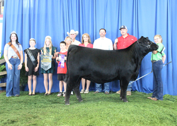 Grand Champion Bred-and-owned Female