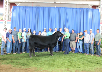 Reserve Grand Champion Owned Female