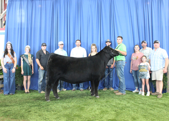 Grand Champion Owned Female