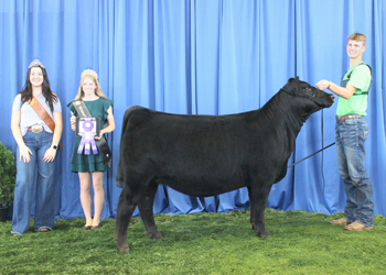 Bred-and-owned Intermediate Champion Heifer