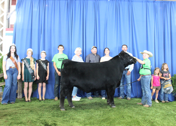 Grand Champion Steer