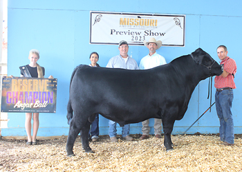 Reserve Grand Champion Bull