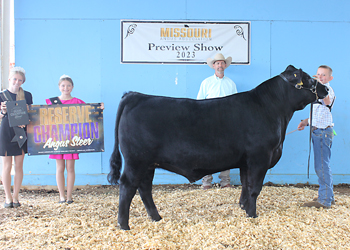 Reserve Grand Champion Steer