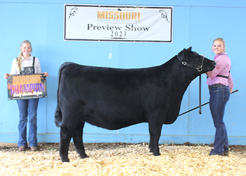 Late Junior Champion Heifer