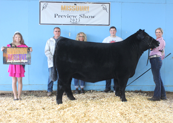 Reserve Early Junior Champion Heifer