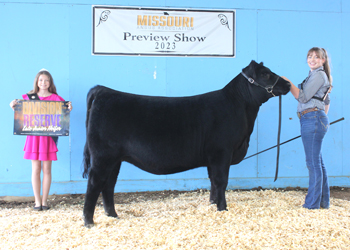 Reserve Late Junior Champion Heifer