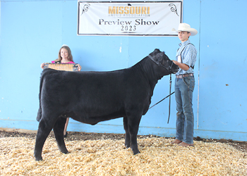 Reserve Late Senior Heifer Calf Champion