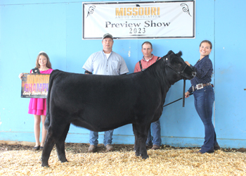 Early Senior Heifer Calf Champion