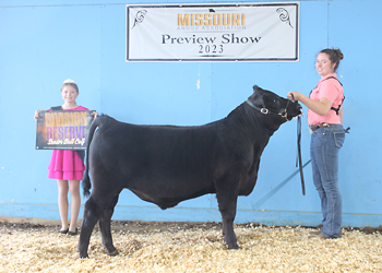 Reserve Senior Bull Calf Champion