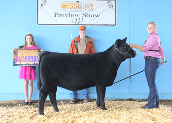 Late Senior Heifer Calf Champion