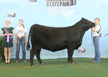 Senior Champion Female