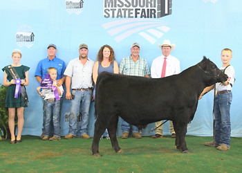 Grand Champion Bull