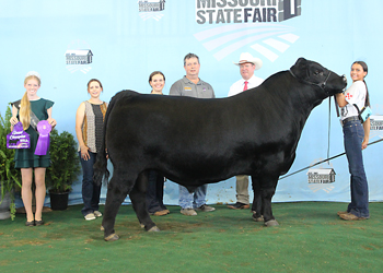 Grand Champion Bull