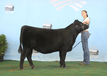 Reserve Senior Heifer Calf Champion