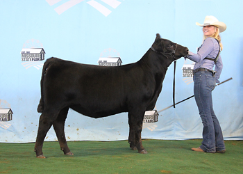 Junior Heifer Calf Champion