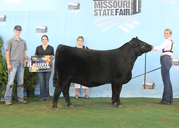 Reserve Late Junior Champion Heifer